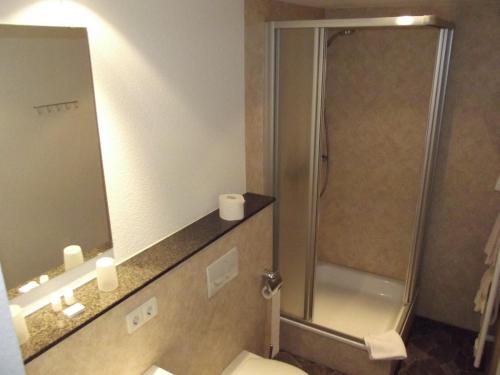 a bathroom with a shower and a toilet and a mirror at Pension Bergseeblick in Titisee-Neustadt