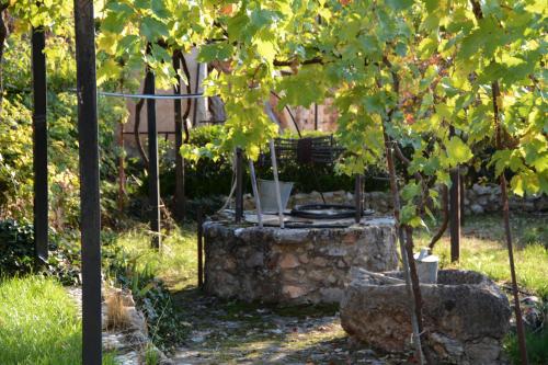 a bench sitting on a stone stump under a tree at Giorgos' & Noula's Cottage in Desfina village- near Delphi in Dhesfína