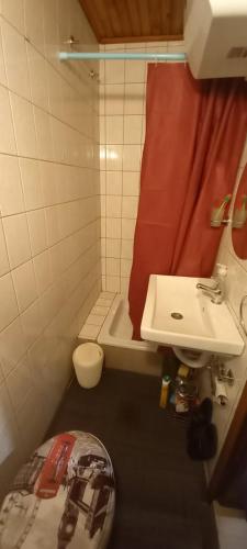 a small bathroom with a sink and a toilet at Villa on the lake near Mostar in Jablanica