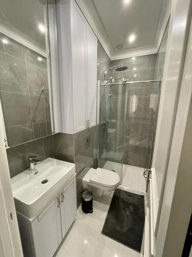 een badkamer met een douche, een toilet en een wastafel bij Grand Studio Neuf in Villefranche-sur-Mer