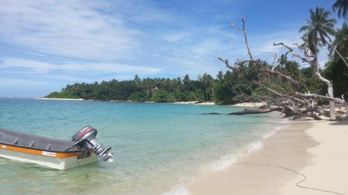a boat sitting on the shore of a beach at Casapreciosa-LasLajas in Las Lajas