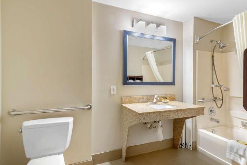 a bathroom with a toilet and a sink and a mirror at Best Western Plus McDonough Inn & Suites in McDonough