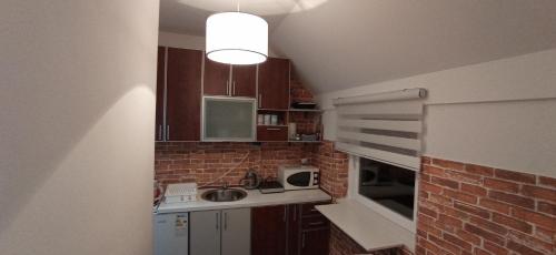 Apartment HOLIDAY LAKE - PIVA 2022 tesisinde mutfak veya mini mutfak