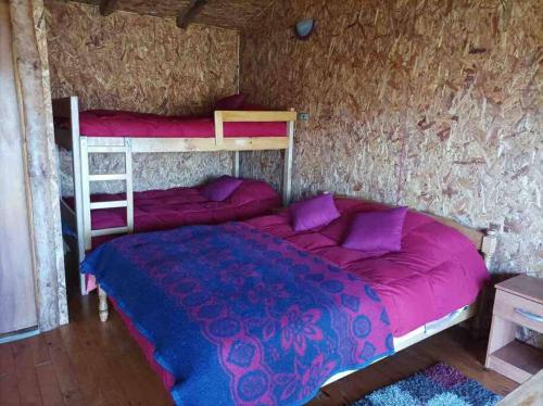 1 Schlafzimmer mit einem Bett mit lila Bettwäsche und Etagenbetten in der Unterkunft Cabaña pumillahue rural in Ancud