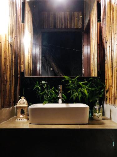 a bathroom with a white sink and plants on a counter at The Cabins at LVF in Puerto Princesa City