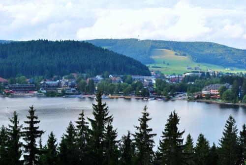 a large body of water with a town and trees at Pension Bergseeblick in Titisee-Neustadt