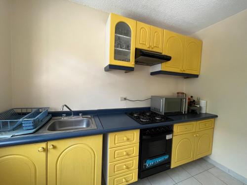 多洛雷斯伊達爾戈的住宿－Casa MEXH Dolores，厨房配有黄色橱柜和水槽