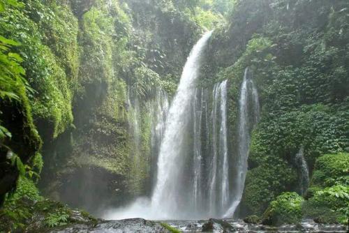a waterfall in the middle of a forest at Tiu Kelep Homestay in Senaru