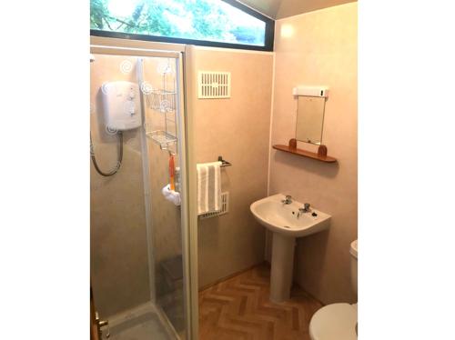 a bathroom with a shower and a sink at Nuthatch Lodge is set in 24 acres of woodparkland near the village of Cenarth in Newcastle Emlyn