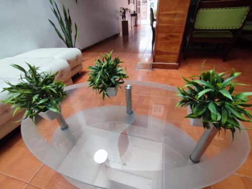 Fotografie z fotogalerie ubytování HOTEL SAN ADOLFO v destinaci Apartadó