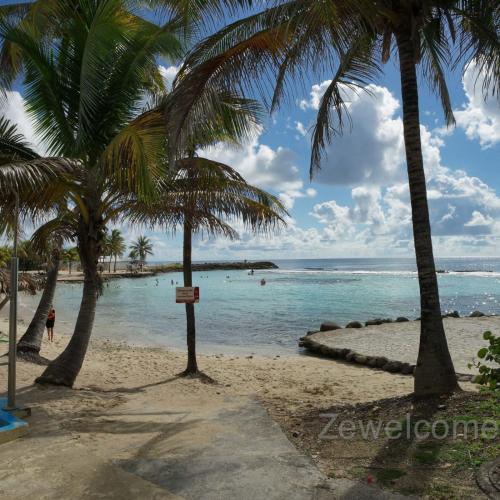 a beach with palm trees and the ocean at Appartement Blue Lagon in Saint-François