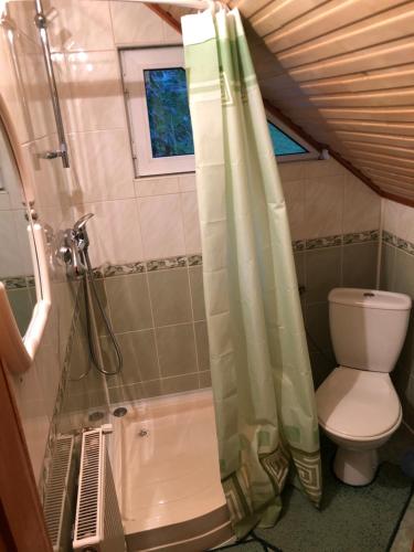 ヤレムチャにあるGuest House Arnikaの小さなバスルーム(シャワー、トイレ付)