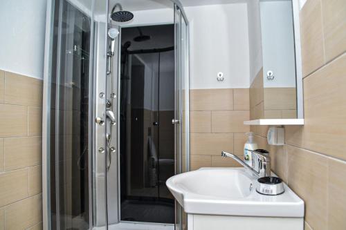 a bathroom with a sink and a shower at Casuta Vanatorului Campulung Moldovenesc in Câmpulung Moldovenesc