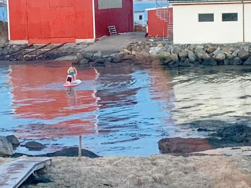 a person on a surfboard in a body of water at 8 person holiday home in Bølandet-By Traum in Røyra