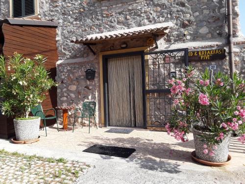 a door of a building with two potted plants at B&B Pivi in Ponti Sul Mincio