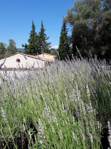 Φυσικό τοπίο κοντά σε αυτό το διαμέρισμα
