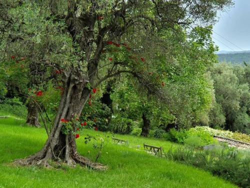 Φυσικό τοπίο κοντά σε αυτό το διαμέρισμα