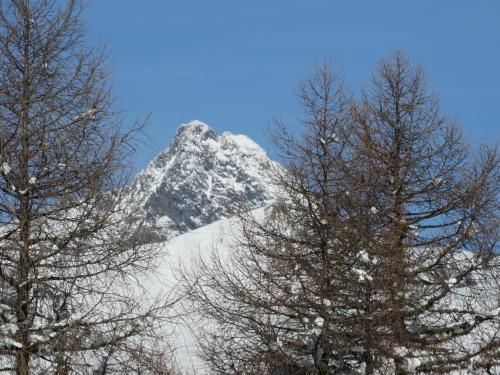 アパートメントから撮影された、または一般的な山の景色
