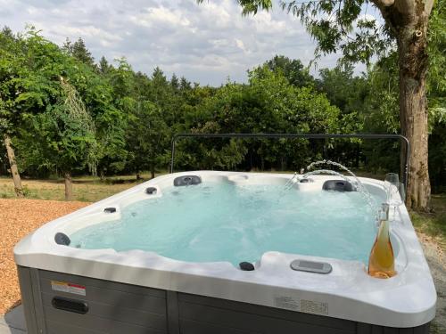 una bañera de hidromasaje con una fuente de agua en un patio en Le Chalet de la Mûre, en Bongheat