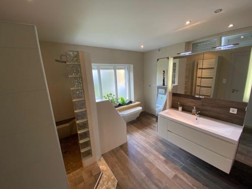 baño con lavabo y espejo grande en Magnifique villa à 5 minutes de Colmar, en Horbourg