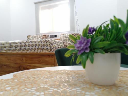 a white vase with purple flowers sitting on a table at Marys Guest House in Lomé