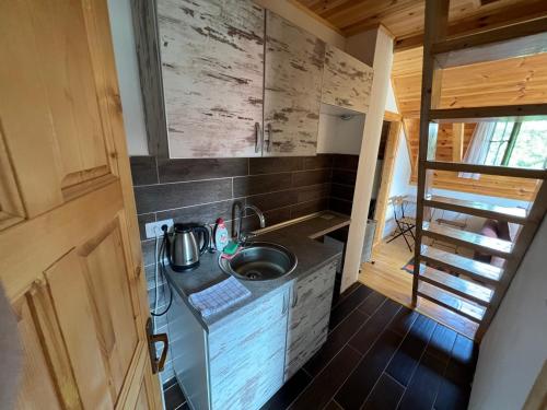 a kitchen with a sink in a tiny house at Dormire Apartmans in Žabljak