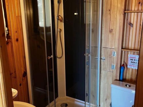 une douche avec une porte vitrée dans une salle de bain dans l'établissement Bas de chalet cosy avec balcon et 1 chambre - FR-1-593-26, aux Angles