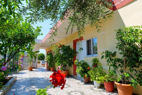 a courtyard of a building with potted plants at Ilias House in Ksamil