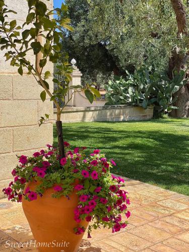 a large pot with pink flowers in a garden at Sweet Home Suite in Fasano