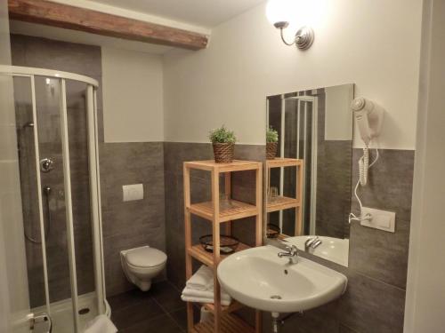a bathroom with a sink and a toilet and a shower at Dvůr Stráň in Karlovy Vary