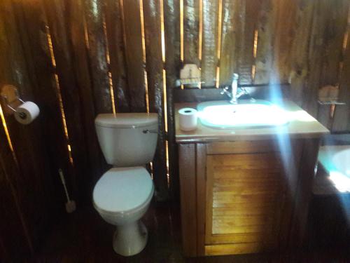 a bathroom with a toilet and a sink at Bakgatla Resort in Pilanesberg