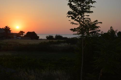 a sunset on the beach with a tree in the foreground at Sea melody apartments in Stavromenos