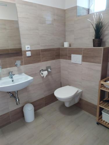 a bathroom with a toilet and a sink at Penzion ENO in Kelčany