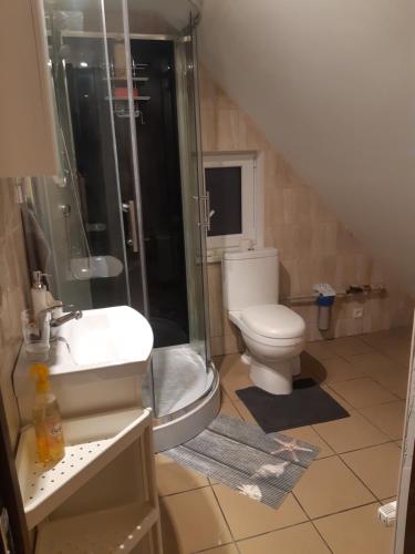 a bathroom with a toilet and a shower and a sink at Dzìvoklis pie jùras in Ventspils