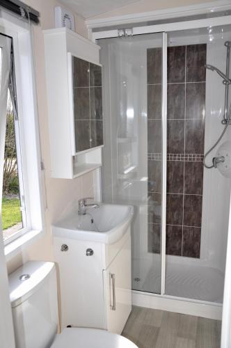 a bathroom with a toilet and a shower and a sink at Chalet de Parel in Petten