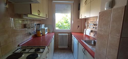 una piccola cucina con ripiani rossi e una finestra di BranySol Apartman a Novi Sad