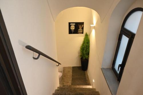 un escalier dans une maison avec une plante en pot dans l'établissement B&B Palazzina Avallone, à Naples