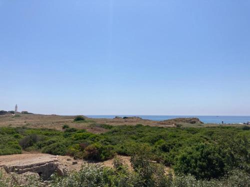 a view of a field with the ocean in the background at Ariadne Apartments in Paphos City