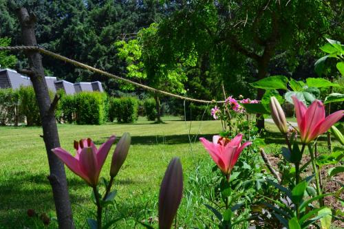 Les gîtes de Beille – Photos 4