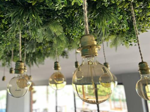 a group of glass light bulbs hanging from a tree at Tenuta delle Acque in Acquasparta