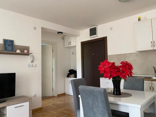 a kitchen with a table with a vase of red flowers at Apartmani CENTAR Vrnjacka Banja & Free Parking in Vrnjačka Banja