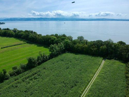 an aerial view of a field and the water at Ferien-Apartment Riedperle - mit priv Strandzugang in Friedrichshafen