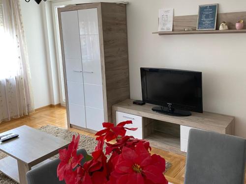 a living room with a television and a table with red flowers at Apartmani CENTAR Vrnjacka Banja & Free Parking in Vrnjačka Banja