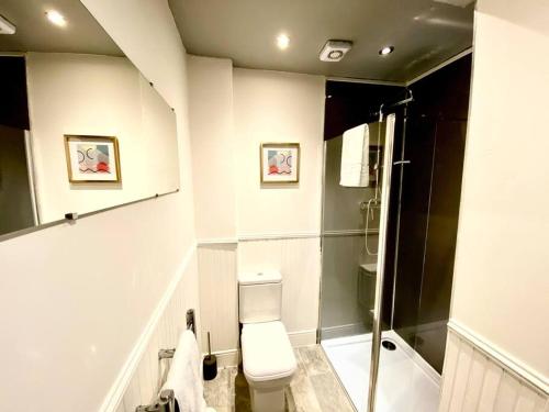 a bathroom with a toilet and a shower at Anchored Homely Apartment in Historic Centre in Paisley