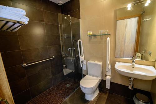 a bathroom with a toilet, sink, and shower at Hotel el Palacio in Molinaseca