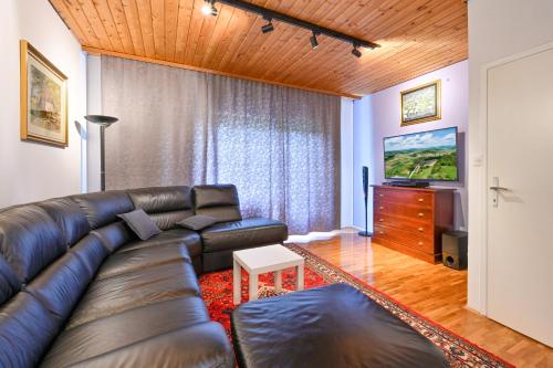 a living room with a leather couch and a television at Jakop Hof in Krapinske Toplice