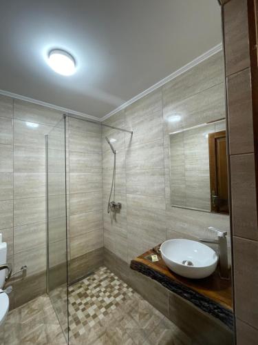a bathroom with a sink and a glass shower at Silver Mountain Villa Colibita in Colibiţa
