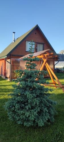 Un árbol de Navidad delante de una casa en Saulėtekio 12 en Ignalina