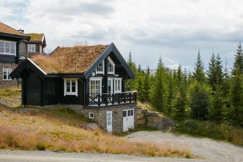 a house with a grass roof on a hill at Mosetertoppen Panorama anneks 1B in Hafjell