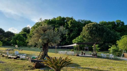 un parque con un árbol y un columpio en Antico Palmento dell'Etna, en Pedara